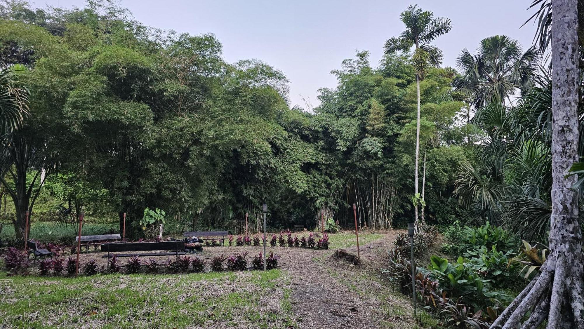 Hosteria Finca El Pigual 普约 外观 照片