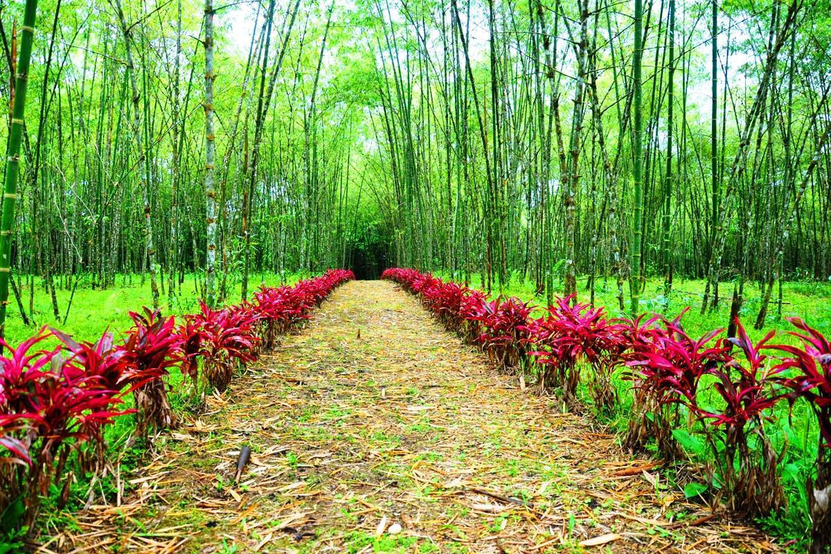Hosteria Finca El Pigual 普约 外观 照片