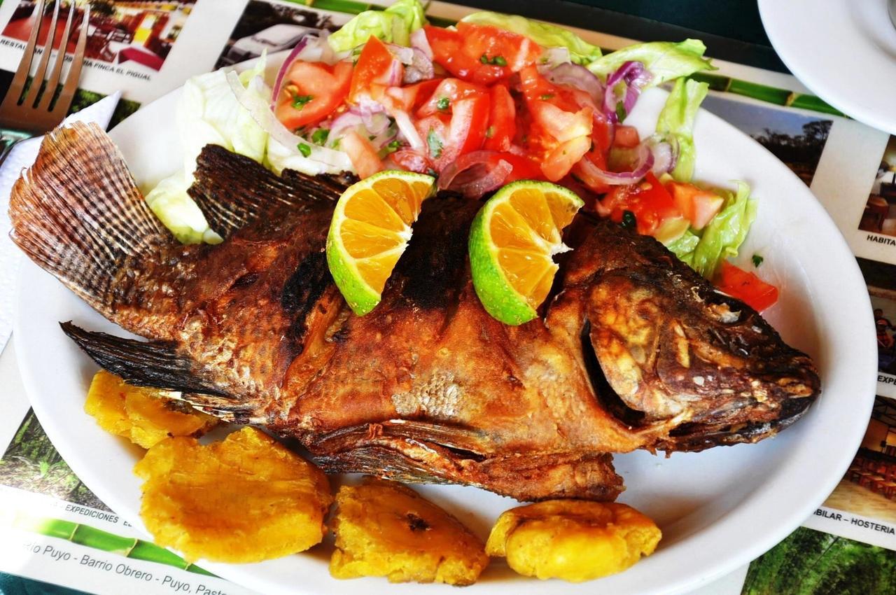 Hosteria Finca El Pigual 普约 外观 照片